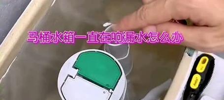 箭牌抽水马桶水箱漏水原因及处理方法（深入探究箭牌抽水马桶水箱漏水的原因）  第1张