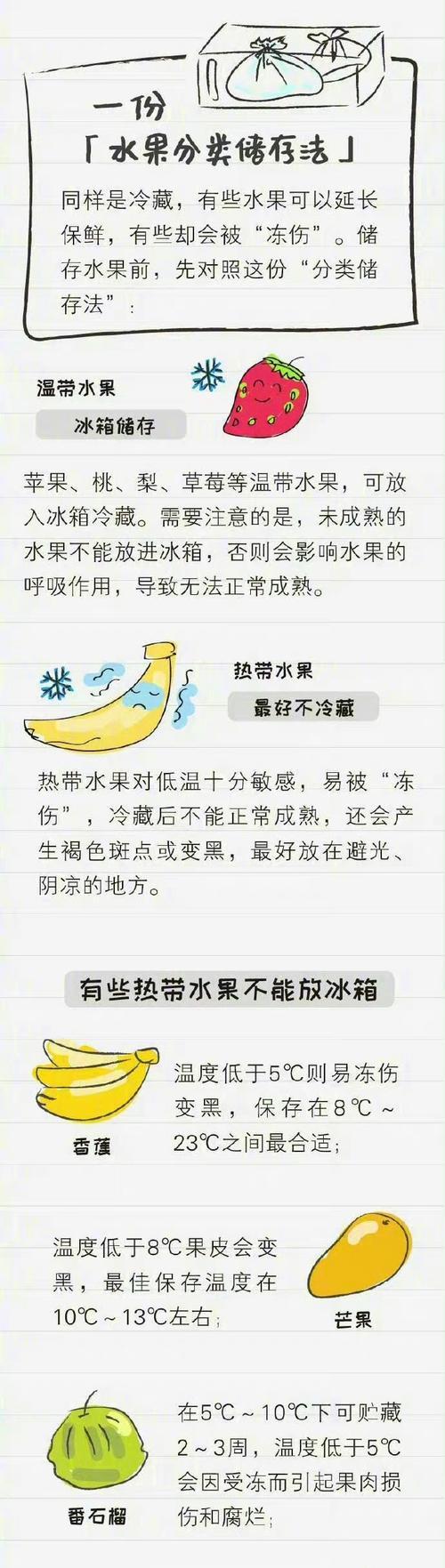 椰子放冰箱能保存多久（探索椰子在冰箱中的保鲜期限及保存方法）  第3张