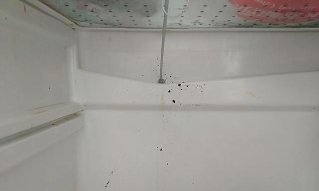 冰箱保鲜层为什么有水（解析冰箱保鲜层结露水的原因与处理方法）  第3张