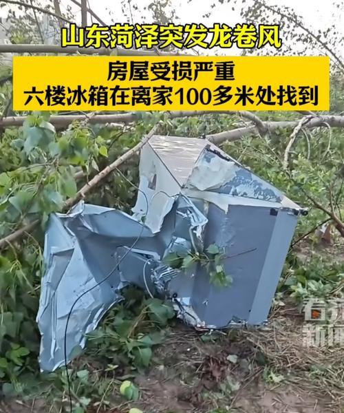 冰箱烧了的原因和预防方法（了解冰箱烧毁的原因）  第3张