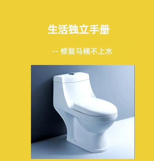 马桶不上水的原因及维修方法（解决马桶不上水问题的关键技巧）  第3张