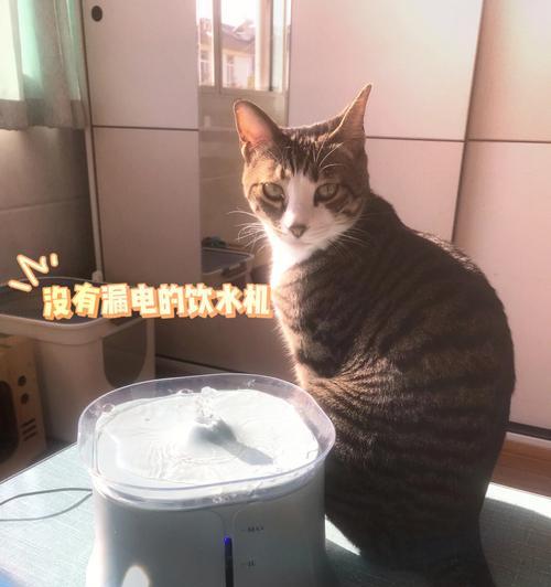 母子饮水机触电了怎么办？如何安全处理？  第2张