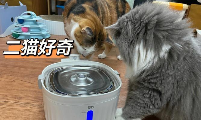 母子饮水机触电了怎么办？如何安全处理？  第1张