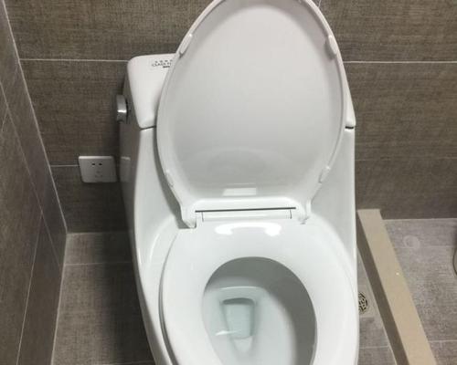 科勒马桶堵塞怎么办？疏通技巧有哪些？  第1张