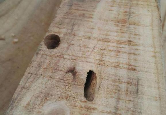 冰柜出现虫子了怎么办？有效处理方法有哪些？  第3张