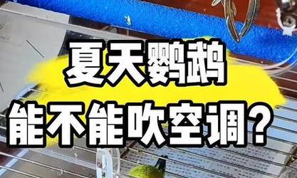 空调过敏感冒怎么办？如何快速缓解症状？  第2张