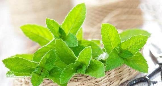 如何在听电脑声音时做饭？有什么好的解决方案？  第1张