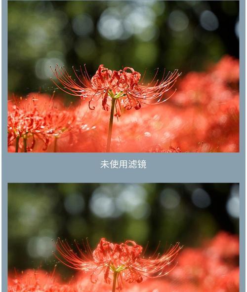 手机拍照时星光镜无法使用的原因是什么？  第2张