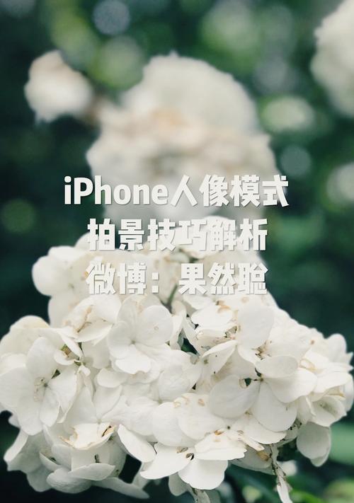苹果手机人像模式亮度如何调整？  第3张