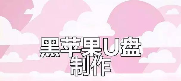 苹果笔记本如何通过u盘安装mac系统？  第3张
