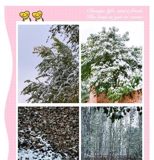 如何用手机拍出平行效果的照片？平行拍照的技巧有哪些？  第3张