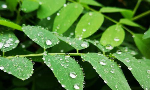 手机防雨可拍照吗怎么设置？如何在雨天保护手机拍照？  第3张