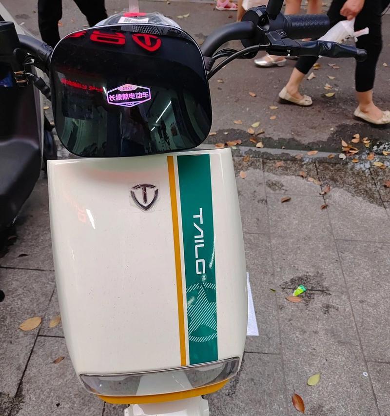 台铃星河充电器电压是多少？  第3张