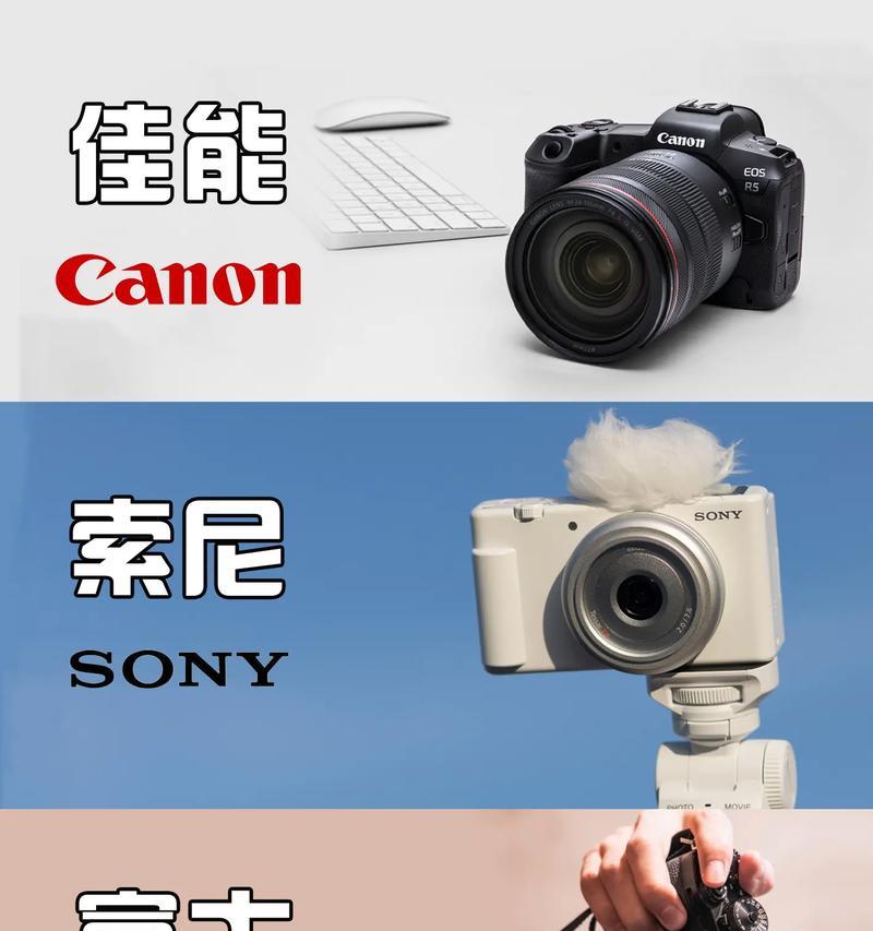 入门级单反相机佳能索尼怎么选？选择时应该注意什么？  第2张