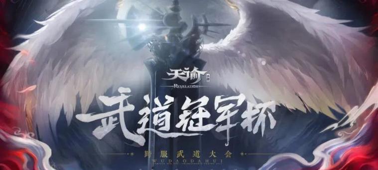 如何选择适合武道的服务器？  第1张