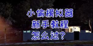 小偷模拟器中飞镖的使用方法是什么？如何正确投掷？  第2张